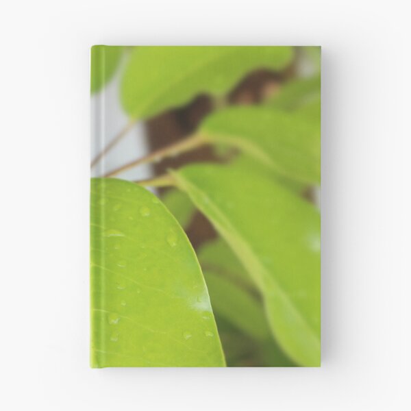 Item preview, Umbrella Tree Tropical Leaves designed and sold by Islandjunkie09.