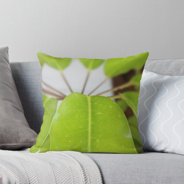 Item preview, Umbrella Tree Tropical Leaves designed and sold by Islandjunkie09.