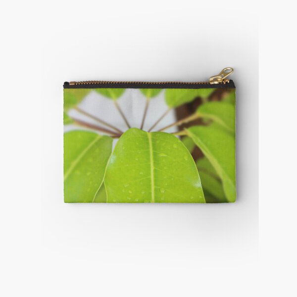 Item preview, Umbrella Tree Tropical Leaves designed and sold by Islandjunkie09.