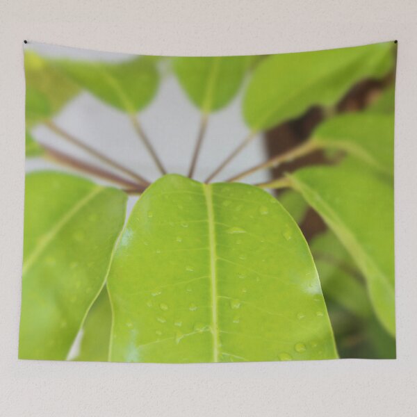 Item preview, Umbrella Tree Tropical Leaves designed and sold by Islandjunkie09.