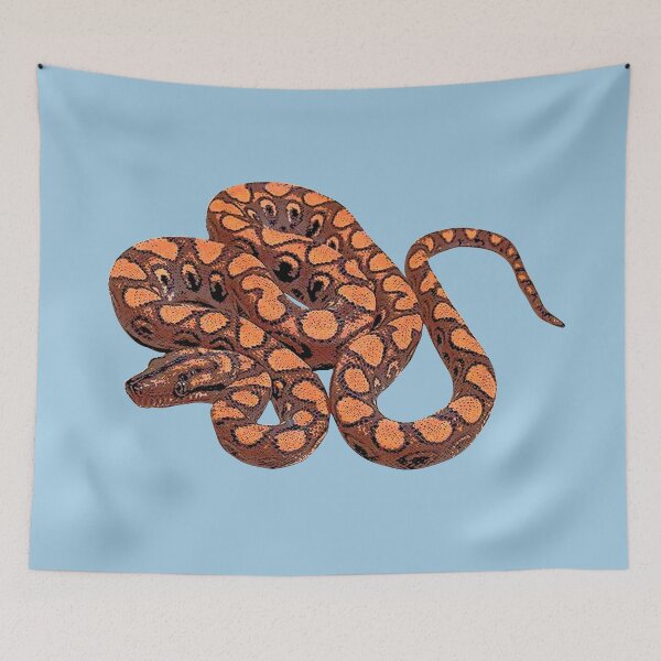 Item preview,  Rainbow Boa Color Design designed and sold by designsasstultd.