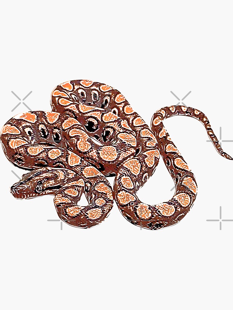 "Rainbow Boa White Alternate Design" Sticker for Sale by