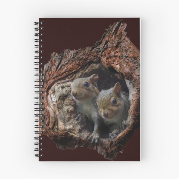 Item preview, Let's Go Nuts designed and sold by EatingTheWord.