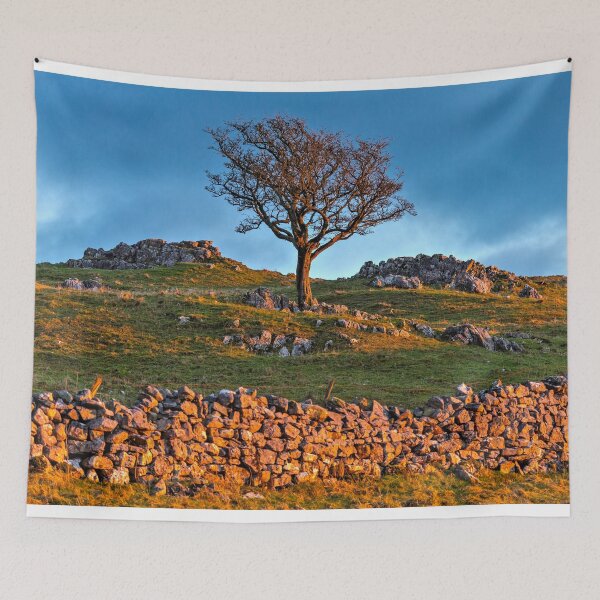 Item preview, Ingleborough Sunset Tree designed and sold by TomHolmesPhoto.