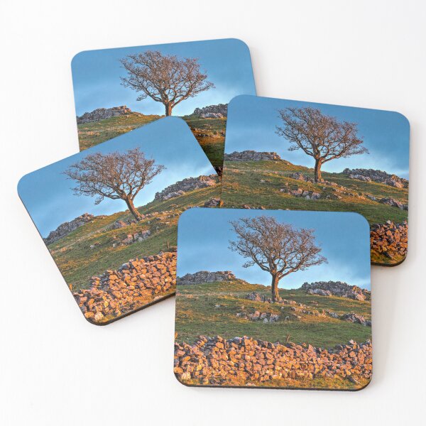 Item preview, Ingleborough Sunset Tree designed and sold by TomHolmesPhoto.