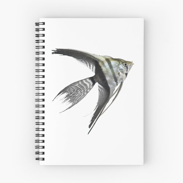 Item preview, Angelfish designed and sold by DoodleDashCollective.