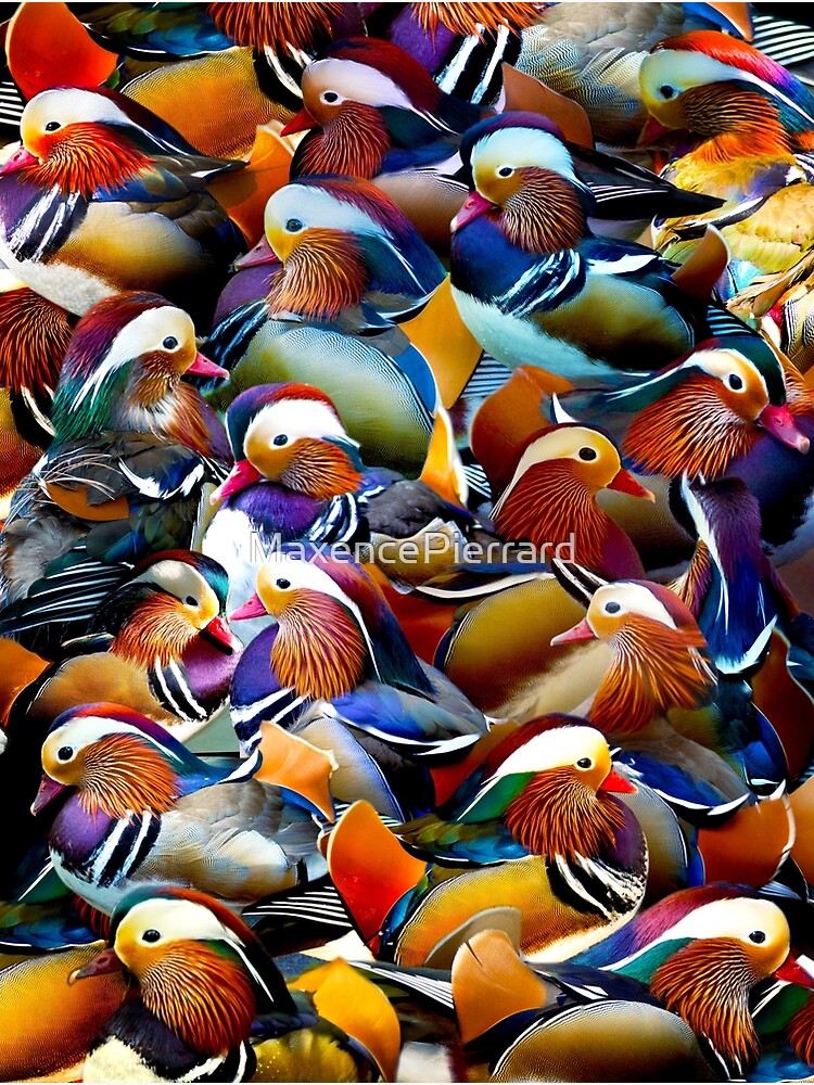 Discover Mandarin Ducks Premium Matte Vertical Poster
