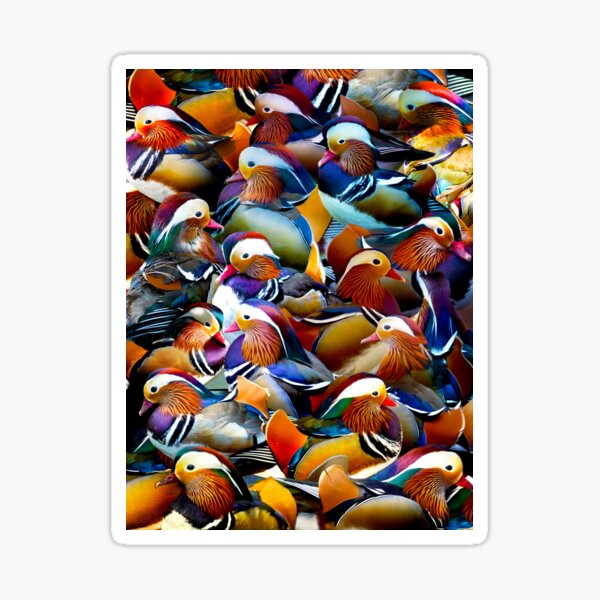 Item preview, Mandarin Ducks designed and sold by MaxencePierrard.