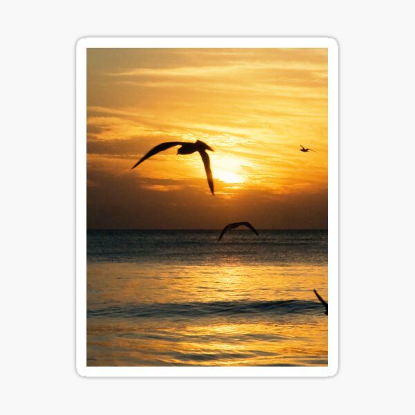Siesta Key Sticker
