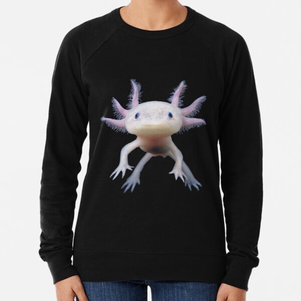Underwater Sweatshirts Hoodies Redbubble