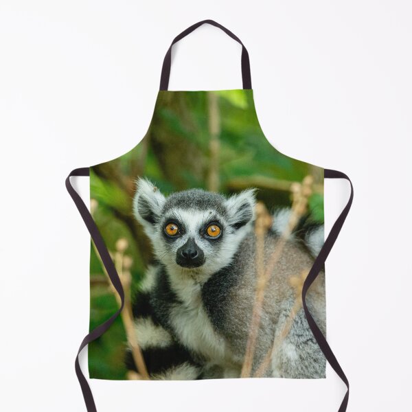 Item preview, Young Ring-tailed Lemur designed and sold by Dalyndigital Photography.