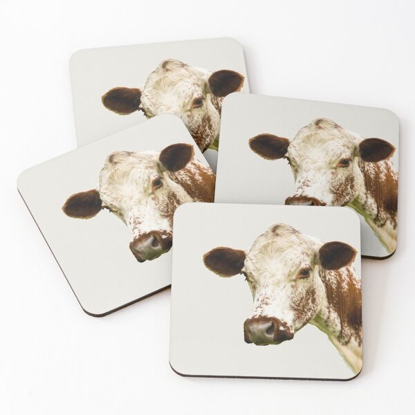 Item preview, Irish Moiled Cow Portrait designed and sold by Jane Stanley Photography.