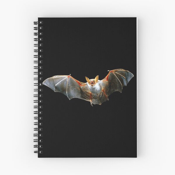Item preview, Flying Bat designed and sold by DoodleDashCollective.