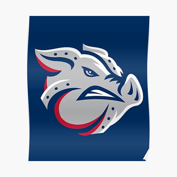 "Lehigh Valley IronPigs" Poster for Sale by alzelstore Redbubble