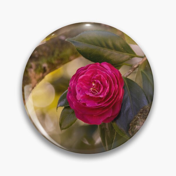 Item preview, Pink camellia flower, with branches and leaves in the background. designed and sold by AylaHarbich.