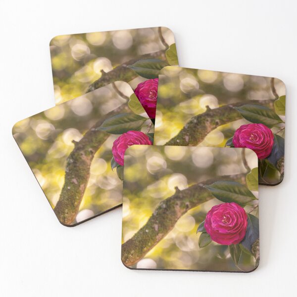 Item preview, Pink camellia flower, with branches and leaves in the background. designed and sold by AylaHarbich.