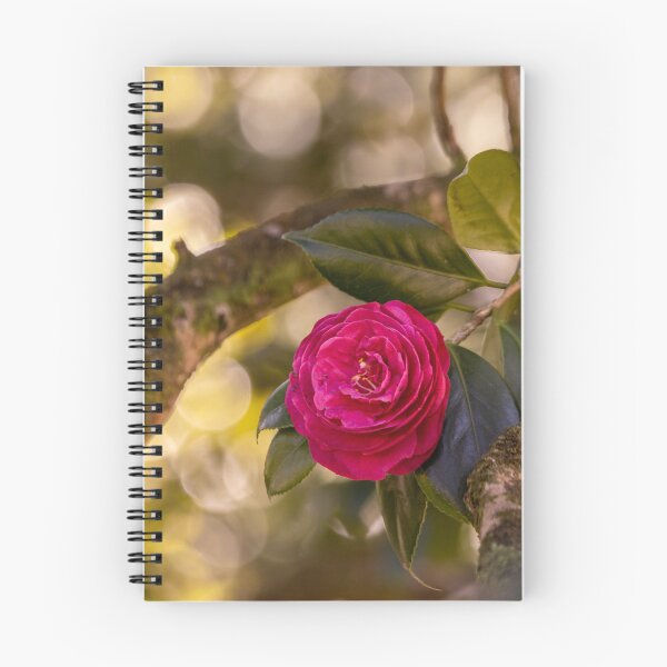 Item preview, Pink camellia flower, with branches and leaves in the background. designed and sold by AylaHarbich.