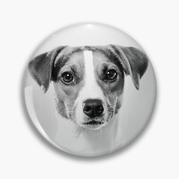 Item preview, Jack Russell dog - BW Vintage - D80 designed and sold by DecoVintage.