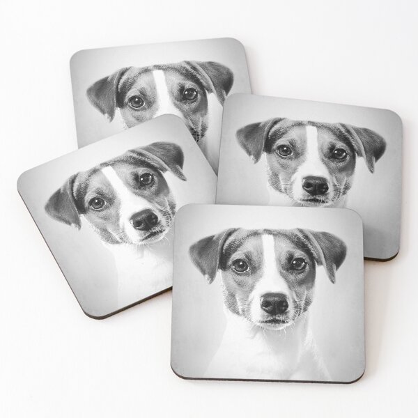 Item preview, Jack Russell dog - BW Vintage - D80 designed and sold by DecoVintage.