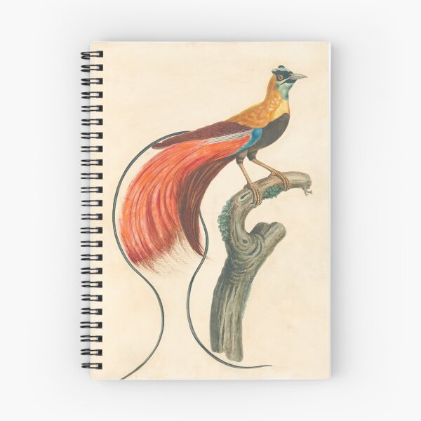 Item preview, Raggiana Bird of Paradise designed and sold by Vintage Wall Art.