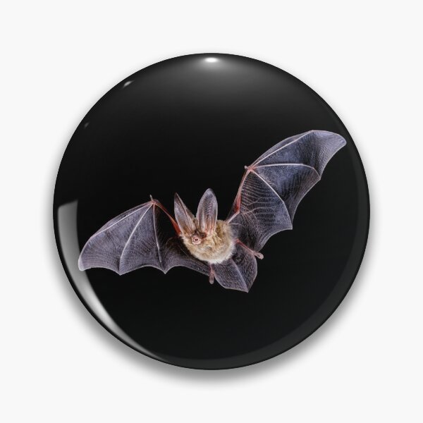 Item preview, Flying Bat designed and sold by DoodleDashCollective.
