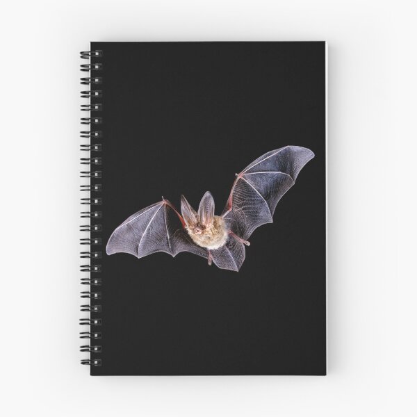 Item preview, Flying Bat designed and sold by DoodleDashCollective.