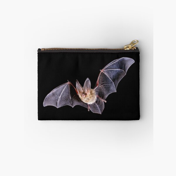 Item preview, Flying Bat designed and sold by DoodleDashCollective.