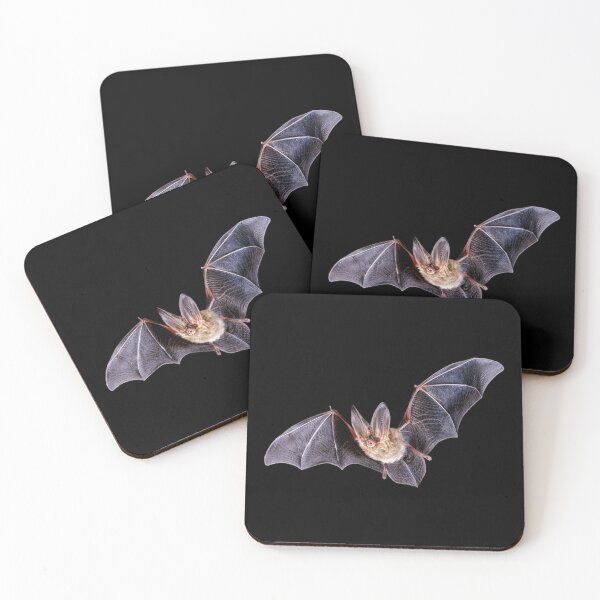 Item preview, Flying Bat designed and sold by DoodleDashCollective.