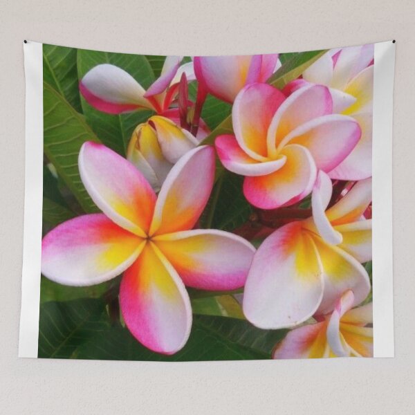Item preview, pink and yellow plumera floral print DIGITAL TRENDs  designed and sold by THE AMERICAN TEEVANGELIST.