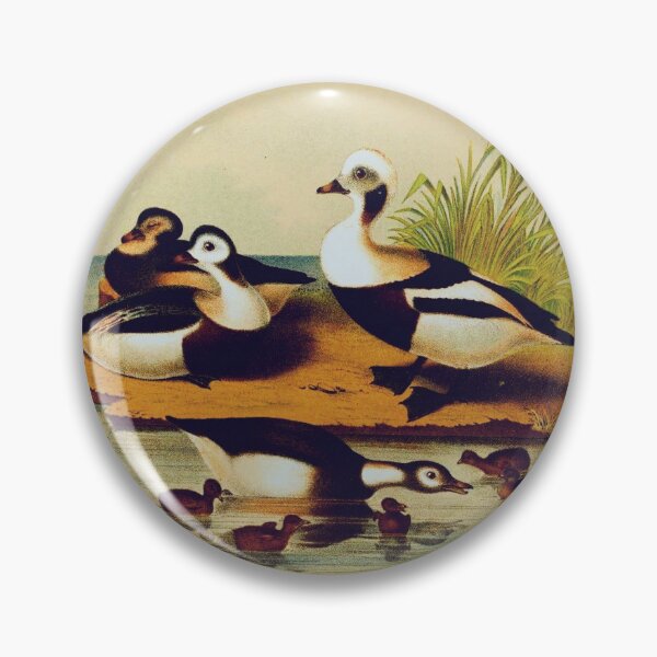 Item preview, Long Tail Duck designed and sold by Santanu1990.