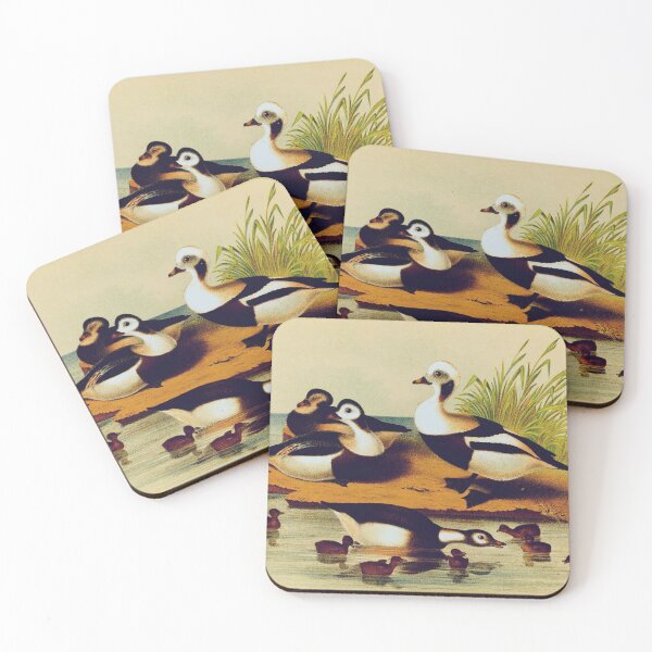 Item preview, Long Tail Duck designed and sold by Santanu1990.