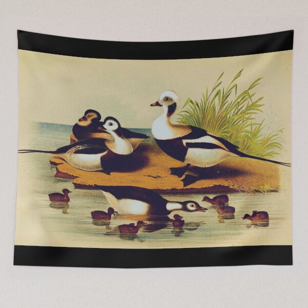 Item preview, Long Tail Duck designed and sold by Santanu1990.
