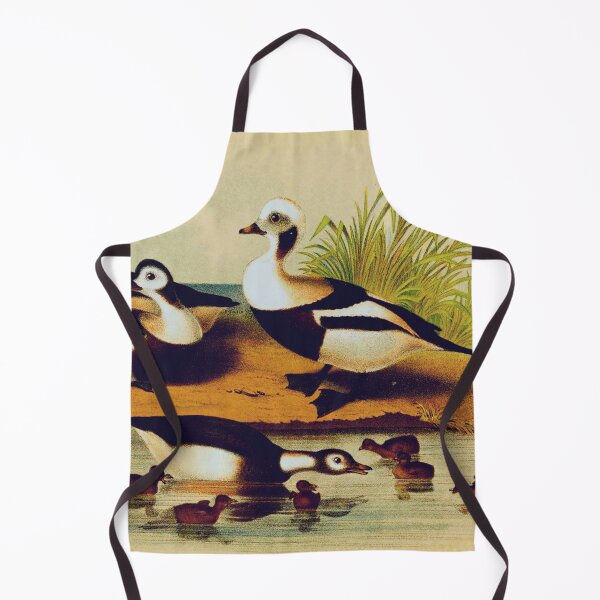 Item preview, Long Tail Duck designed and sold by Santanu1990.