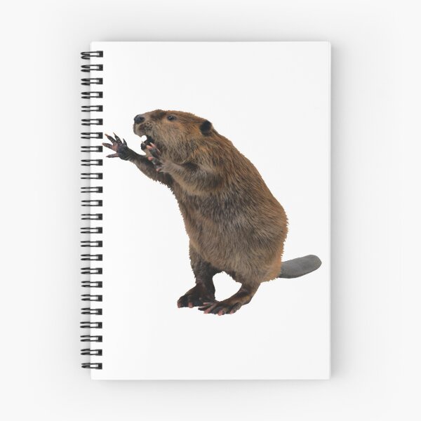 Item preview, Beaver designed and sold by DoodleDashCollective.