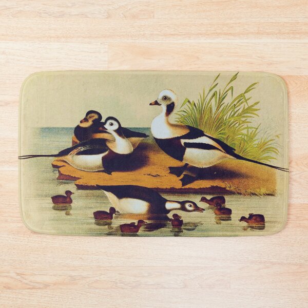 Item preview, Long Tail Duck designed and sold by Santanu1990.