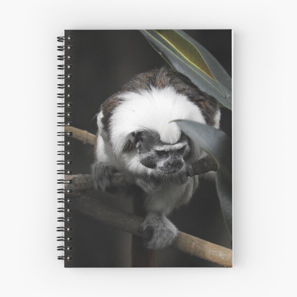 Item preview, Cotton Top Tamarin designed and sold by kirstybush.
