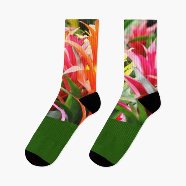 Item preview, TENDENCIAS DIGITALES DE FOTOS FLORALES DE BROMELIAD designed and sold by THE AMERICAN TEEVANGELIST.