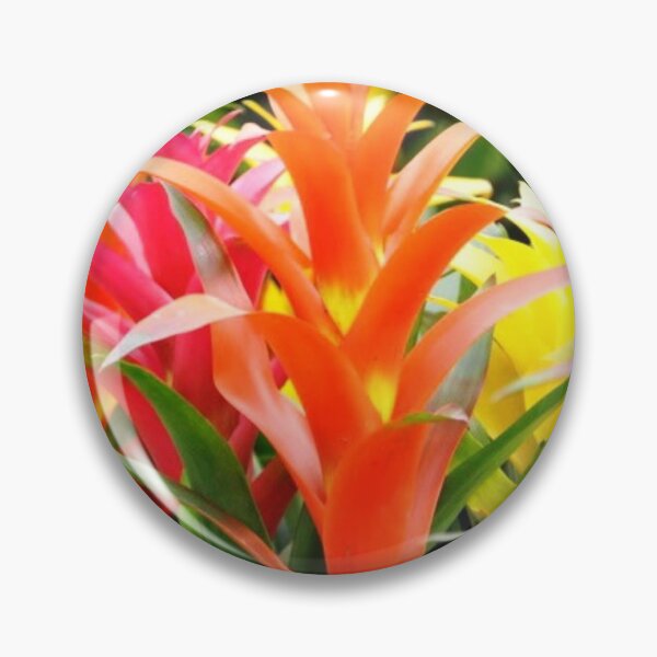 Item preview, BROMELIAD FLORAL PHOTO DIGITAL TRENDs  designed and sold by THE AMERICAN TEEVANGELIST.