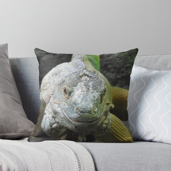 Item preview, Green Iguana designed and sold by kirstybush.