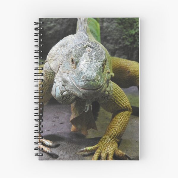 Item preview, Green Iguana designed and sold by kirstybush.