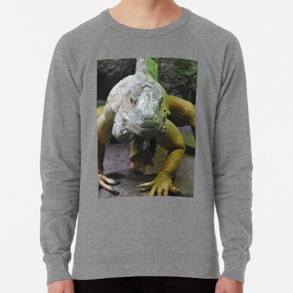 Green Iguana Lightweight Sweatshirt