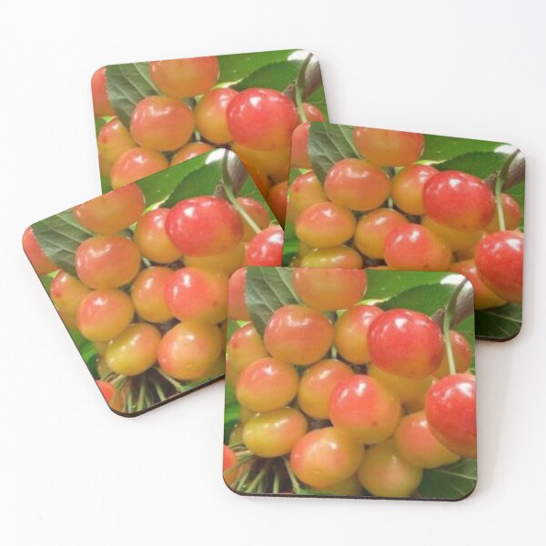 Item preview, Beautiful plum fruits. designed and sold by Lan thi Nguyen.