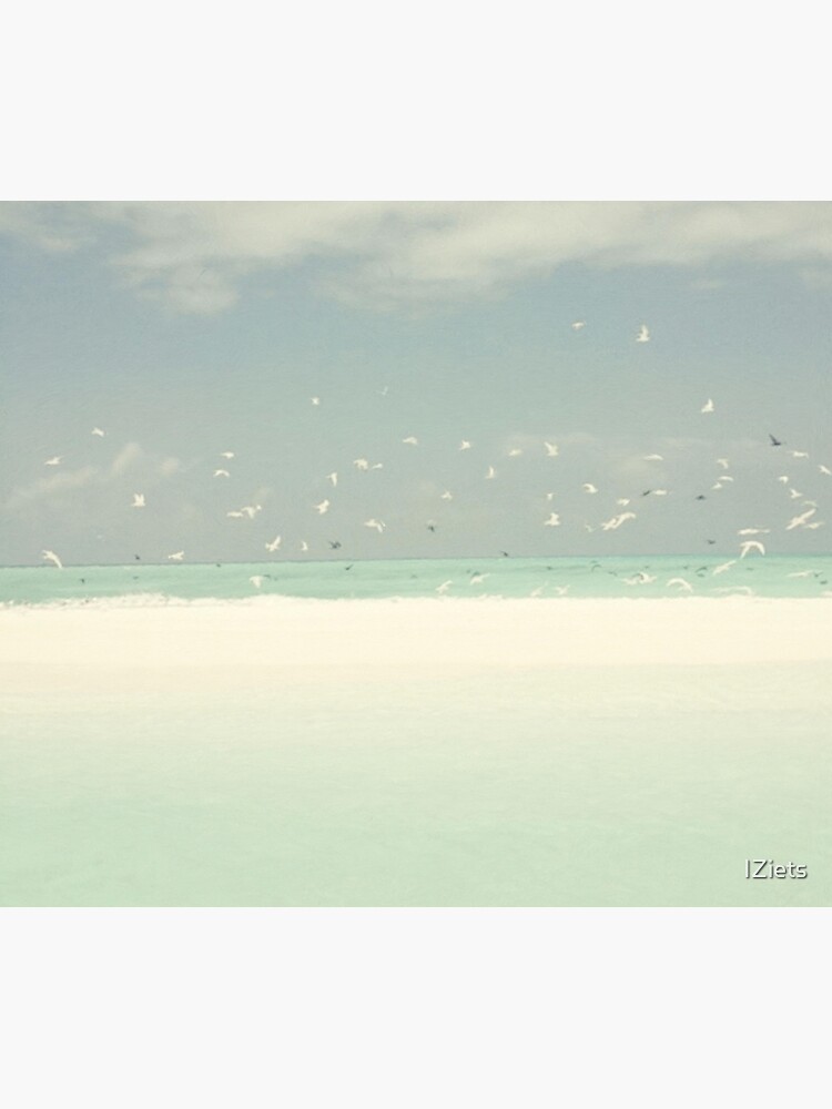 Blue Skies Birds Beach And Ocean Seashore Landscape by IZiets
