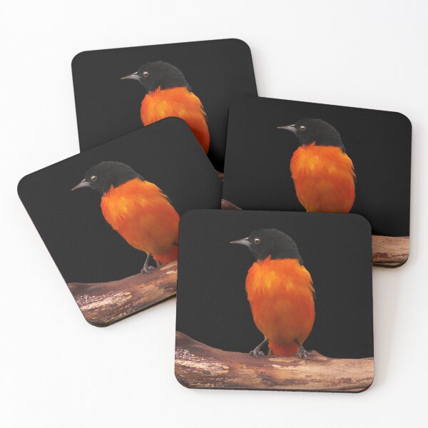 Item preview, Baltimore Oriole ~ Male designed and sold by cherylorraine.