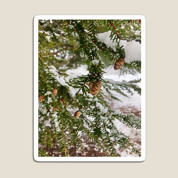 Item preview, Poison Pine designed and sold by WoolRain3.