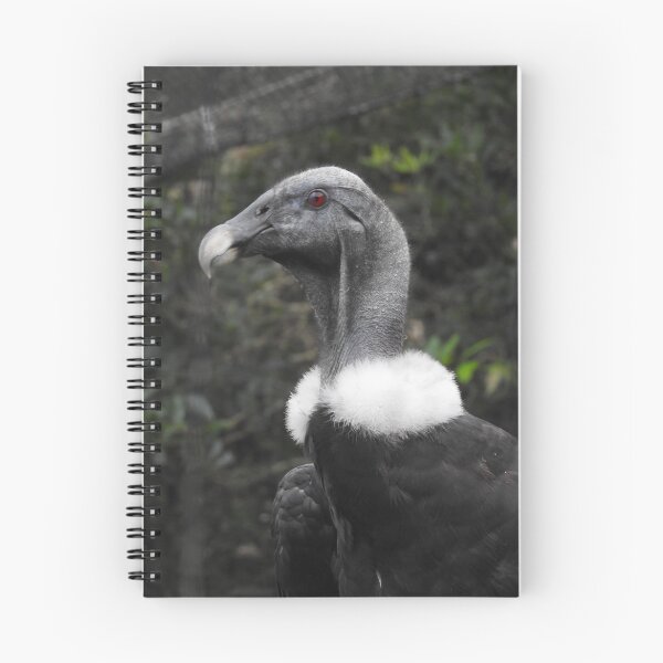 Item preview, Andean Condor designed and sold by kirstybush.