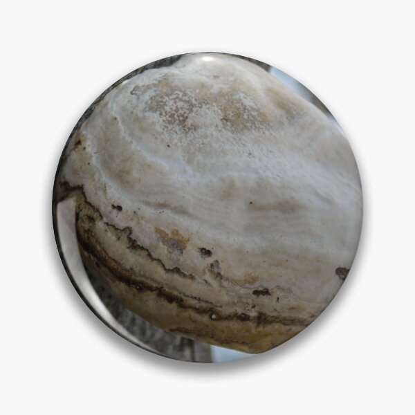 Item preview, Fungus that grows on a tree in winter designed and sold by Mahirov Shop.