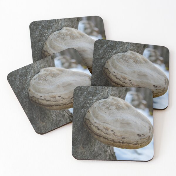 Item preview, Fungus that grows on a tree in winter designed and sold by Mahirov Shop.