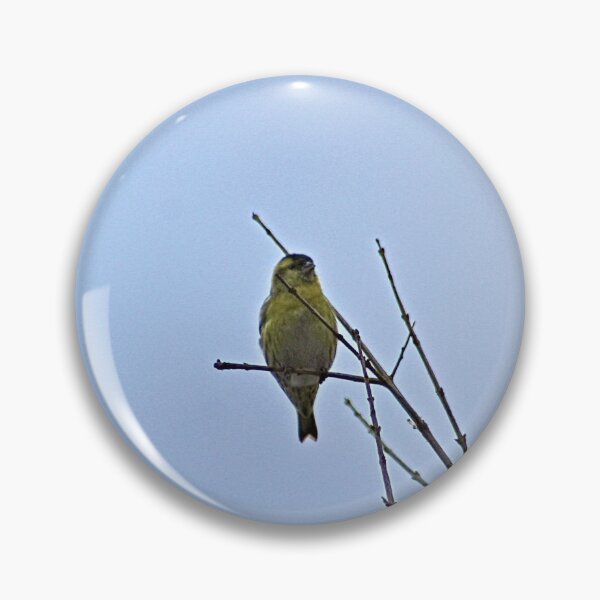 Item preview, Little Yellow Bird Tree Bare Branches designed and sold by Anna Lemos.