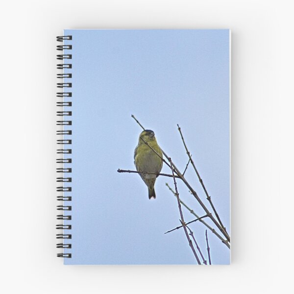 Item preview, Little Yellow Bird Tree Bare Branches designed and sold by Anna Lemos.